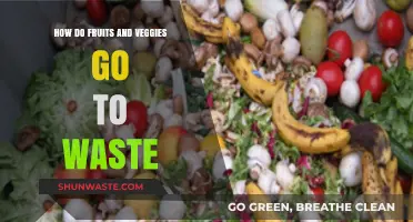 Preventing Produce Waste: Understanding How Fruits and Veggies Go Bad