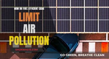 Fuel-Efficient Cars: Reducing Air Pollution, Improving Our Health