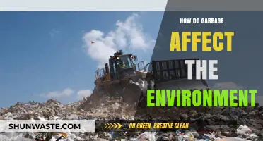 Garbage's Environmental Impact: Pollution, Wildlife Threats, and Ecosystem Destruction Explained