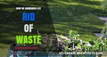 Eco-Friendly Waste Disposal Tips for Gardeners: Sustainable Solutions for a Greener Garden