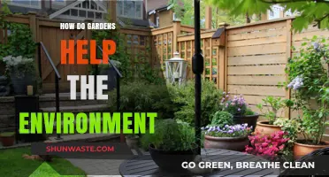 Gardens: Nature's Green Allies for a Healthier, Sustainable Environment