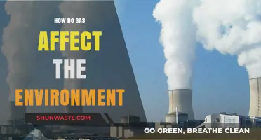 Gas Emissions: Environmental Impacts and Sustainable Solutions for a Greener Future