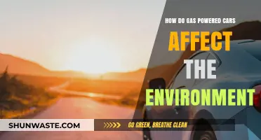 Gas-Powered Cars: Environmental Impact and Sustainable Alternatives Explored