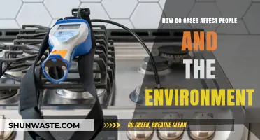 Gases' Impact: Human Health and Environmental Consequences Explained