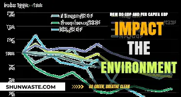 GDP, Per Capita GDP, and Their Environmental Footprint Explained