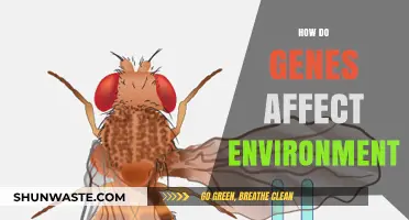 Genetic Influence: How DNA Shapes Our Environmental Interactions and Outcomes