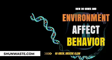 Genes vs. Environment: Unraveling the Complex Drivers of Human Behavior