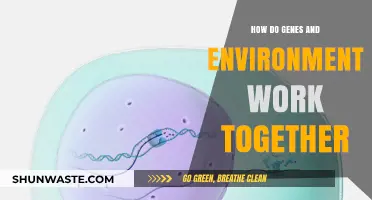 Genes and Environment: Unraveling the Complex Dance of Nature and Nurture