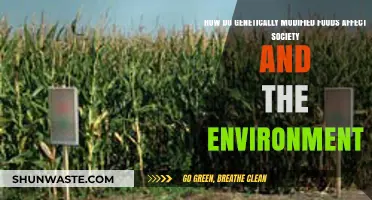 Genetically Modified Foods: Societal Impacts and Environmental Consequences Explored