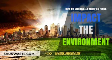 Genetically Modified Foods: Environmental Impact and Sustainability Concerns