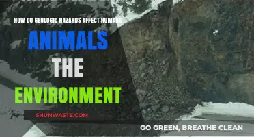 Geologic Hazards: Impacts on Humans, Animals, and Ecosystems Explained