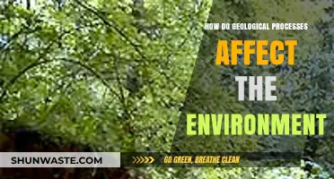 Geological Processes: Shaping Ecosystems and Environmental Impacts Explained