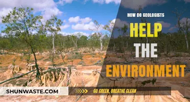 Geologists' Role in Protecting Ecosystems and Preserving Our Planet