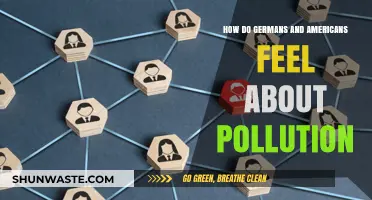 Germans vs. Americans: Pollution Perception Differences
