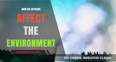 Geysers' Environmental Impact: Exploring Their Effects on Ecosystems and Climate