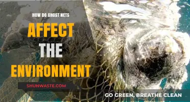 Ghost Nets: Silent Killers Devastating Marine Ecosystems and Coastal Environments