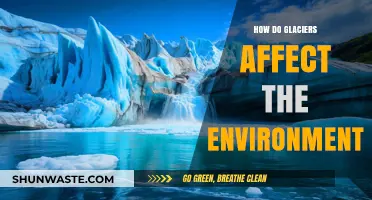 Glaciers' Environmental Impact: Shaping Landscapes and Ecosystems Worldwide