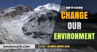 Glaciers' Impact: Shaping Landscapes, Climate, and Ecosystems Worldwide