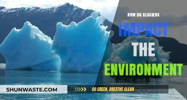 Glaciers' Environmental Impact: Shaping Landscapes and Ecosystems Worldwide