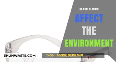 Glasses' Environmental Impact: Uncovering the Hidden Costs of Clear Vision