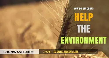 GM Crops: Sustainable Solutions for Environmental Conservation and Resilience
