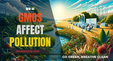 GMOs' Impact: Pollution and Environmental Effects Explained