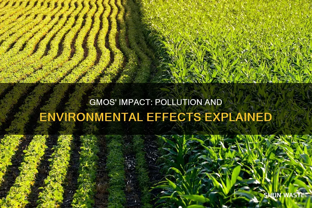 how do gmos affect pollution