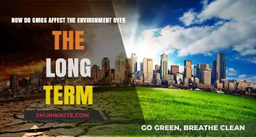 Long-Term Environmental Impact of GMOs: Sustainability, Risks, and Future Outlook