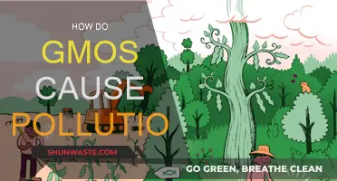 Unveiling the Environmental Impact: GMOs and Their Role in Pollution