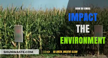 GMO Environmental Impact: Benefits, Risks, and Sustainable Agriculture Insights