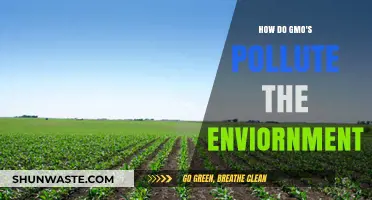GMOs: Environmental Pollutants and Their Impact