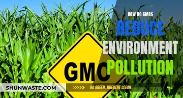 GMOs: Reducing Environmental Pollution and Saving Our Planet