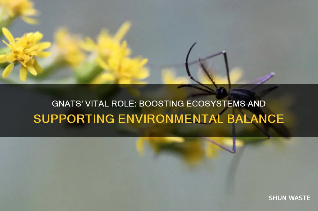 how do gnats help the environment