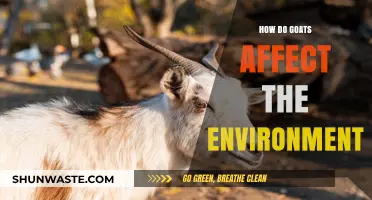 Goats' Environmental Impact: Grazing, Land Use, and Ecosystem Effects Explained