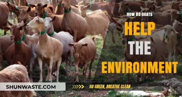 Goats' Eco-Friendly Impact: Sustainable Grazing for a Greener Planet