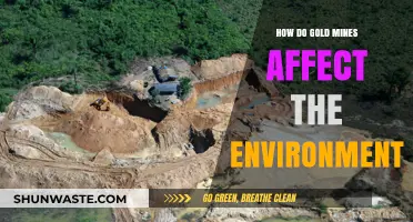 Environmental Impact of Gold Mining: Destruction, Pollution, and Ecosystem Disruption