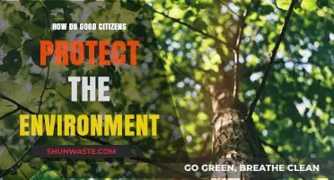 How Responsible Citizens Safeguard Our Environment: Practical Steps for a Greener Future