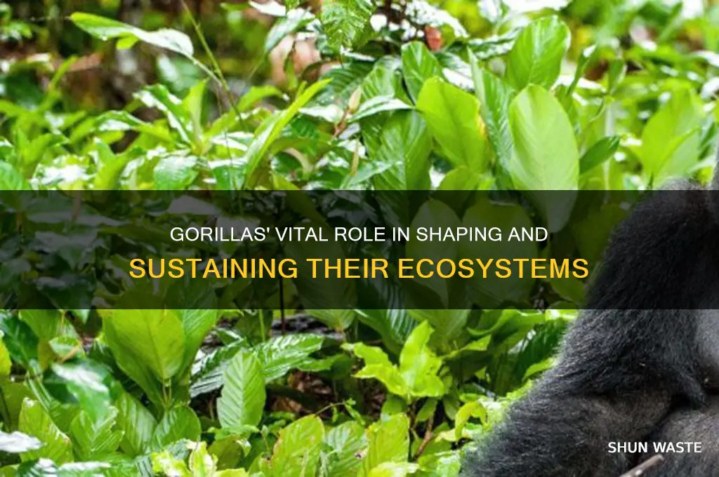 how do gorillas affect the environment