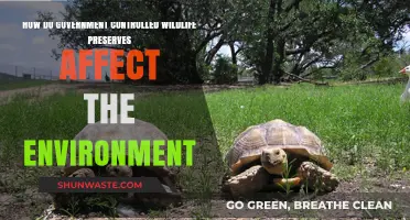 Government Wildlife Preserves: Environmental Impact and Ecosystem Conservation Explored