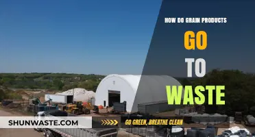 Reducing Food Waste: Understanding Grain Product Loss and Solutions