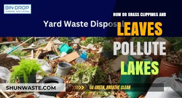 Yard Waste: Lakes' Silent Polluters
