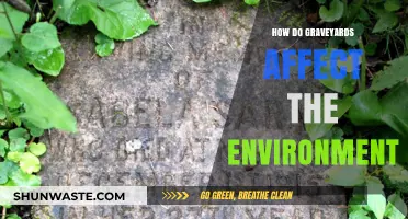 Graveyards' Environmental Impact: Exploring Their Ecological Footprint and Sustainability