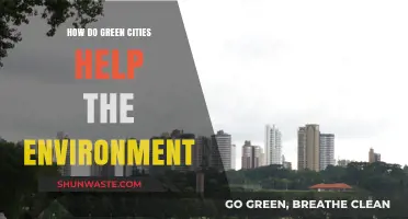 Sustainable Urban Living: How Green Cities Protect Our Environment