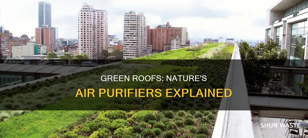 how do green roofs reduce air pollution