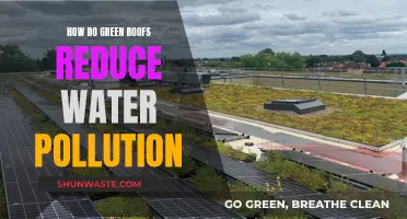 Green Roofs: Nature's Answer to Water Pollution Prevention