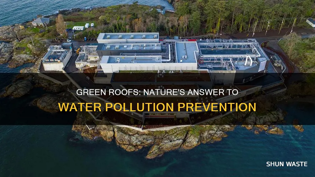 how do green roofs reduce water pollution