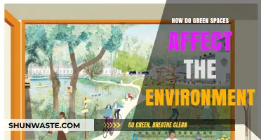 Green Spaces: Their Vital Role in Shaping Our Environment