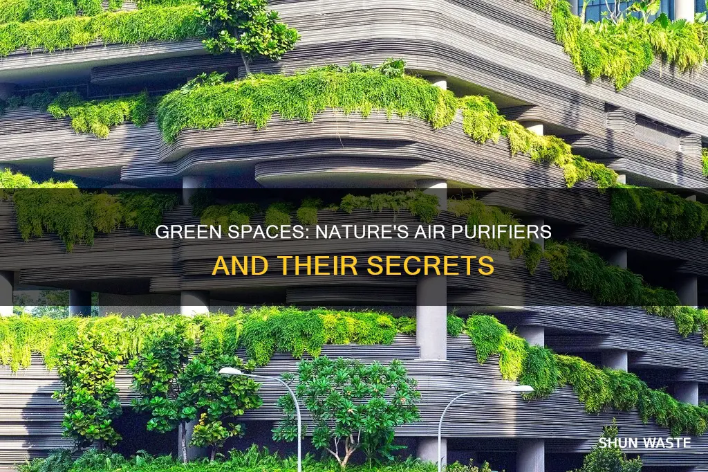 how do green spaces reduce air pollution