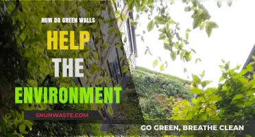 Green Walls: Eco-Friendly Solutions for a Healthier, Sustainable Environment