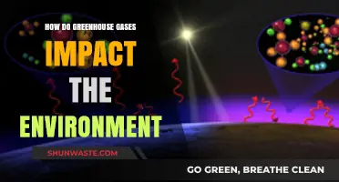 Greenhouse Gases: Unraveling Their Devastating Environmental Impact and Consequences